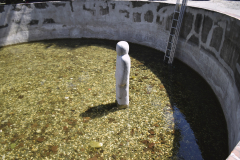 Kašna Duch Hlubiny v Ostravě přivítala svou první betonovou sochu
