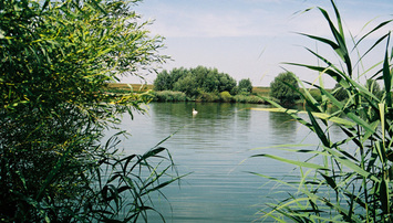 Rekultivace